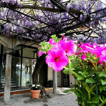 Antico Glicine B&B Maslianico Buitenkant foto