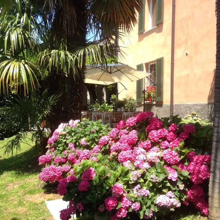 Antico Glicine B&B Maslianico Buitenkant foto
