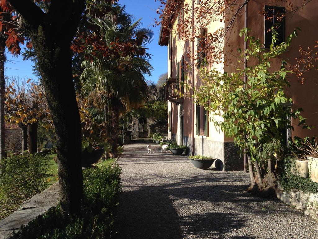 Antico Glicine B&B Maslianico Buitenkant foto
